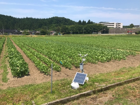 日本科学協会のブログに研究内容が紹介されました（電子情報科）